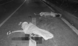 珠海斗门车祸最新爆料,多车相撞，伤亡情况引关注