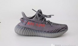 网红椰子爆料视频大全,揭秘幕后真相与热门话题