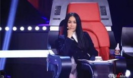 最新爆料那英过往事件,揭秘娱乐圈风云变幻